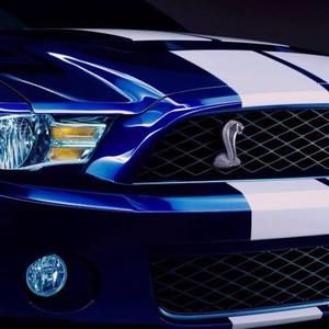 Meet your Posher, Logan